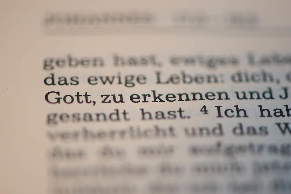 Gott zu erkennen / © Roman Picha Salvatorianer-Bibel: Gott zu erkennen