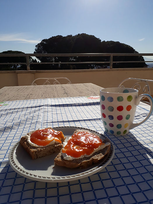 Sr. Brigitte Thalhammer aus Rom / Magdalena Schauer Sr. Brigitte Thalhammer aus Rom